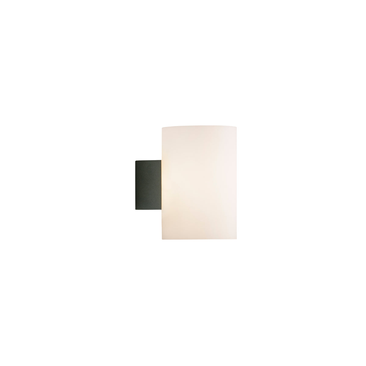 Evoke L vegglampe antrasitt/opal IP44